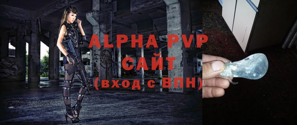 apvp Каменка