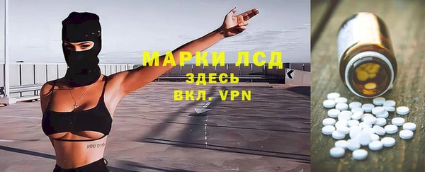 apvp Каменка