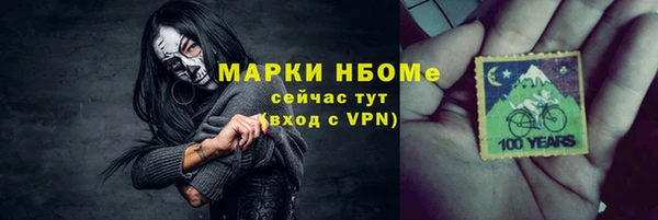 apvp Каменка