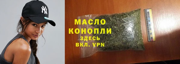 apvp Каменка