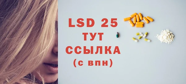 apvp Каменка