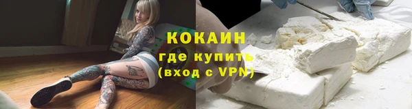 apvp Каменка