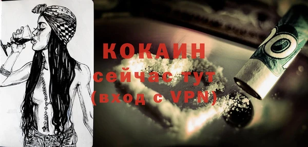 apvp Каменка
